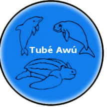 TubeAwu1